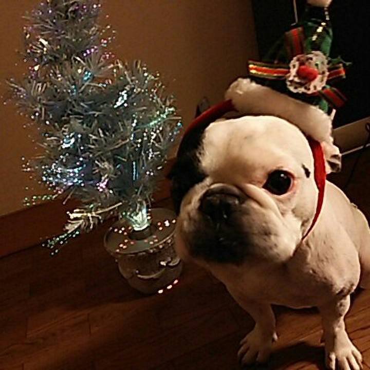 B26091bd 8393 435d 93e7 045b3d921b07