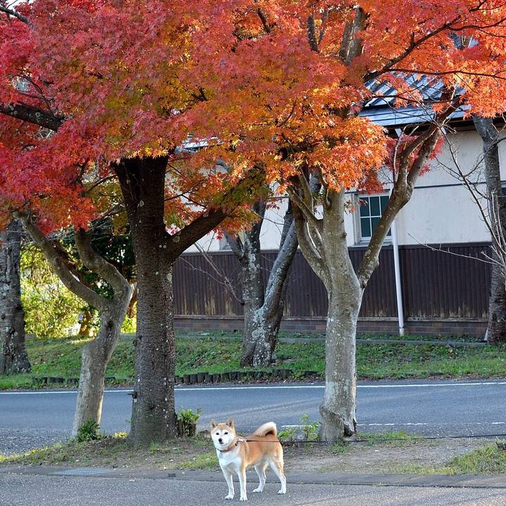 B2611507 f5bf 467c bbfc 728a48c460df