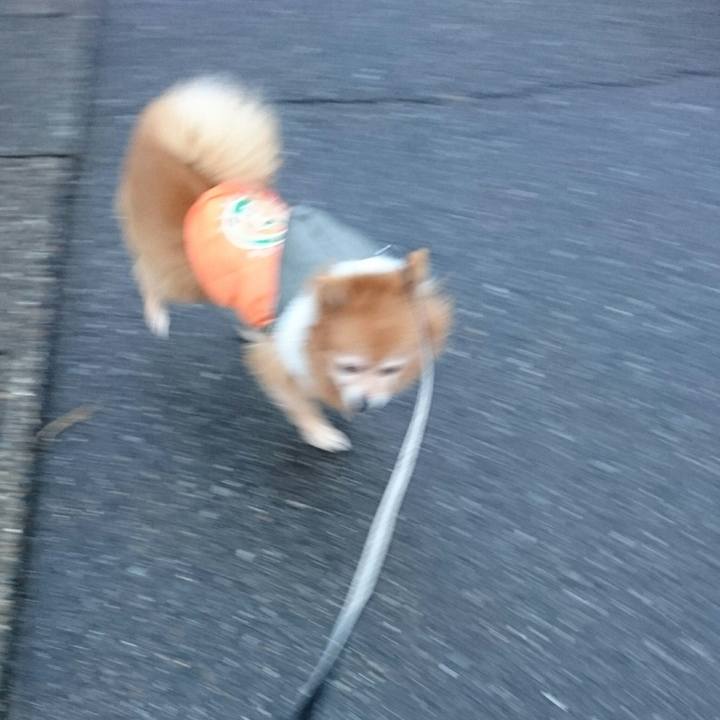 B2618ae3 7fa2 49cb ac74 c10af049b238