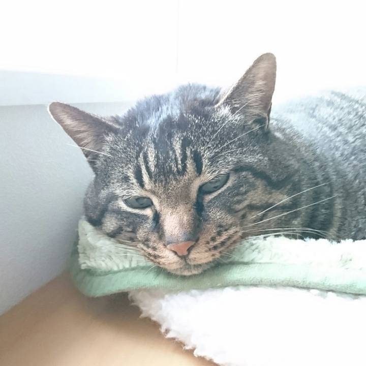 B261a8c5 650a 4c54 a5c3 85e77071f3be