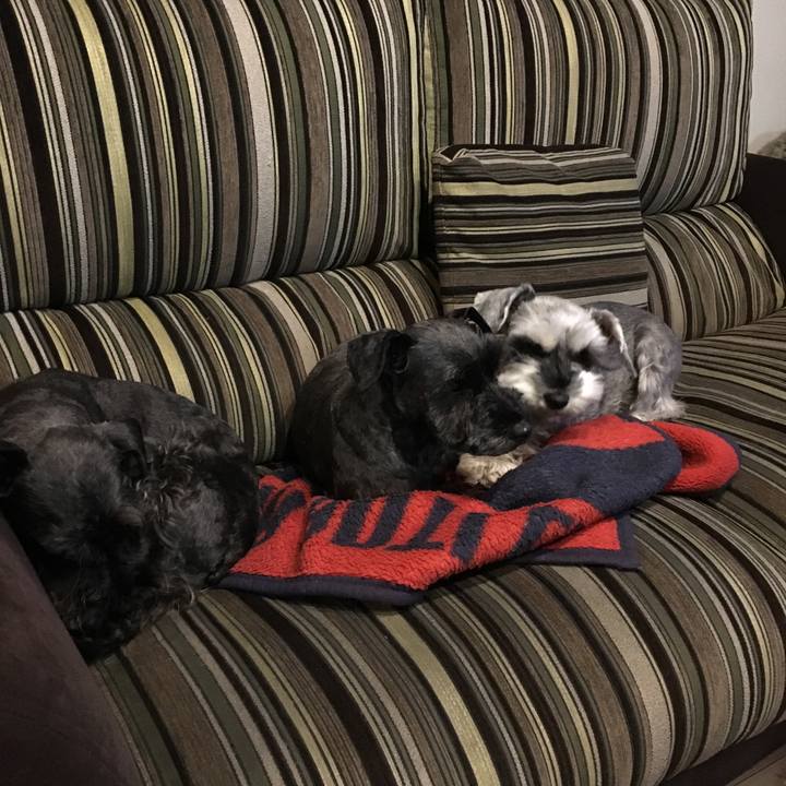 B261dbd8 0a9f 4db0 887d d33f603598df