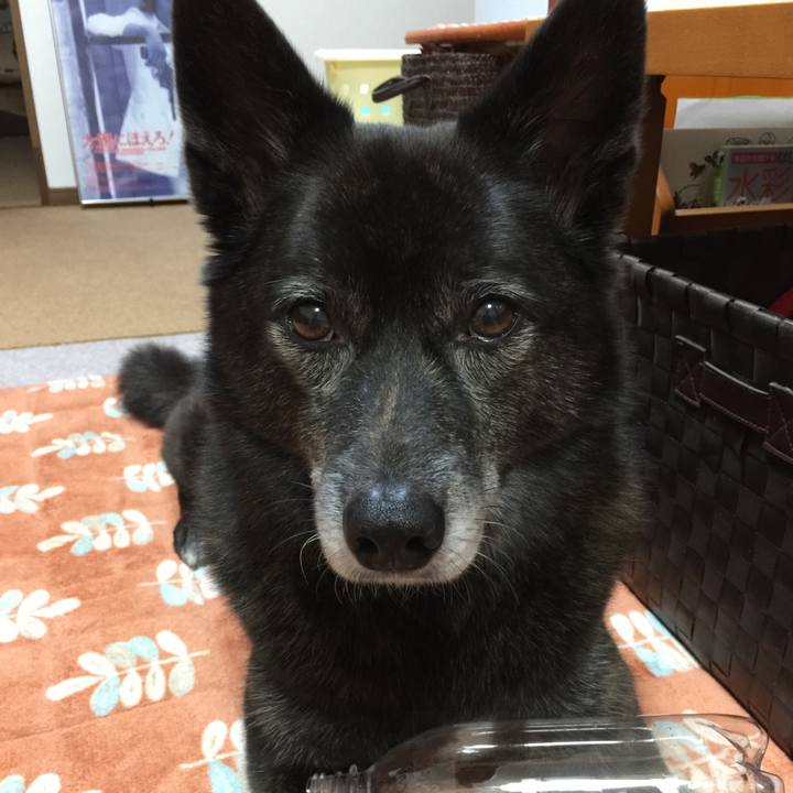 B261df0a 6add 4d8e 8d28 54ac01360cc5