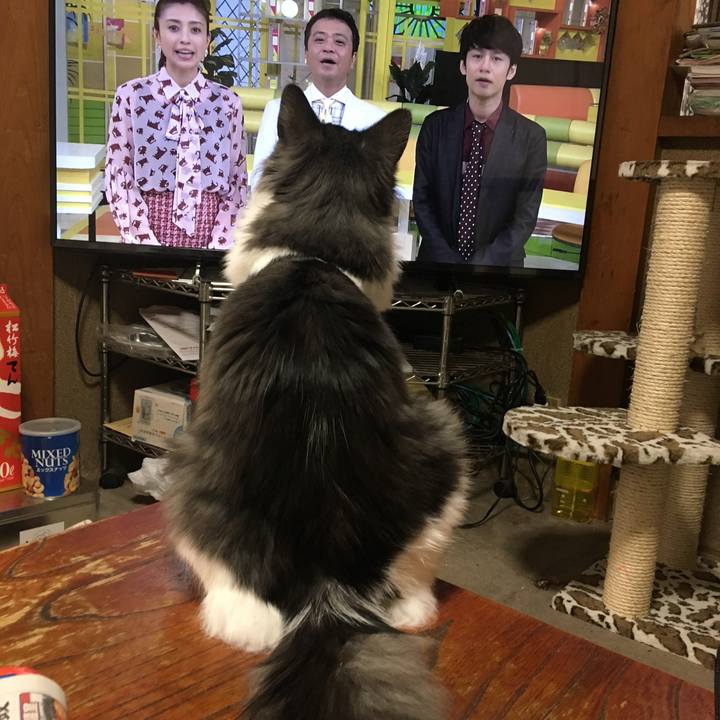 B262aaaa e183 4eab 94f1 76600e336d58