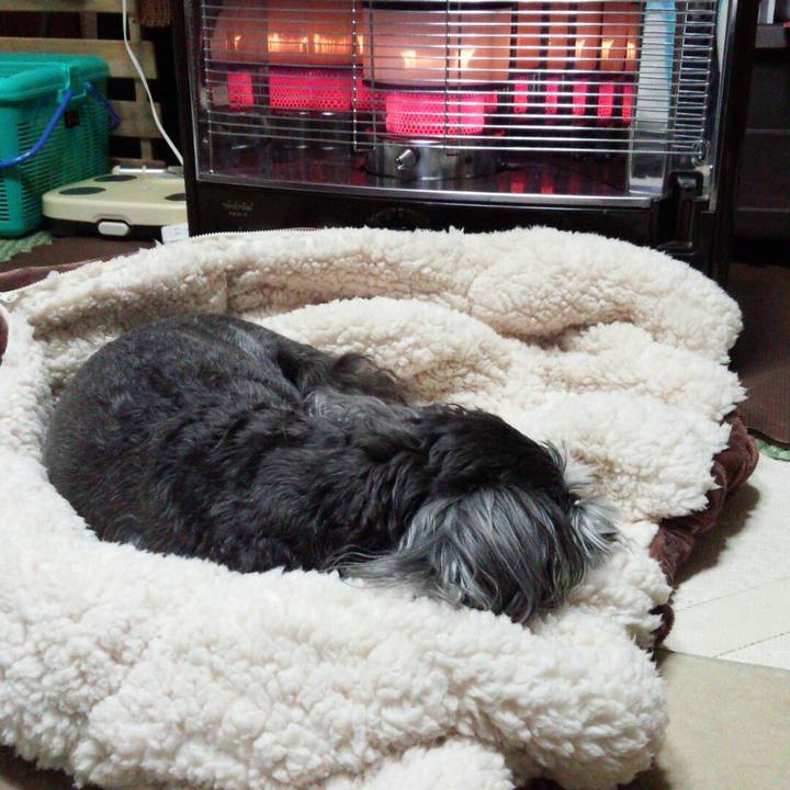 B26369fc 779b 4e89 8865 62a575dab559