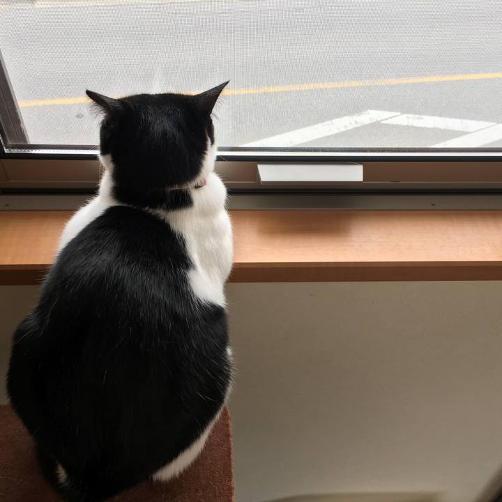 B2639c62 542f 418a a1d8 1cea07a5fc75