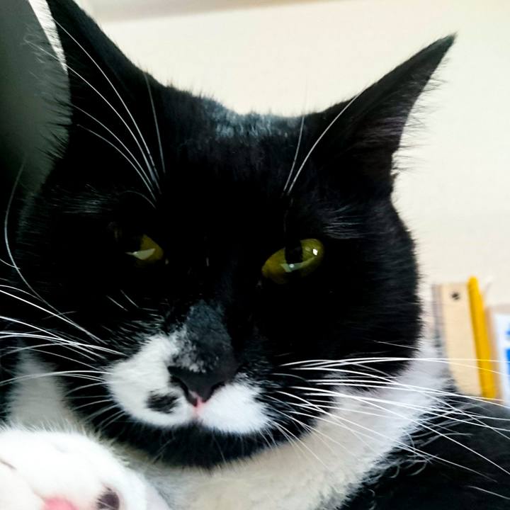 B26409cb 8e74 4c79 9807 eea0b1ab6ff1