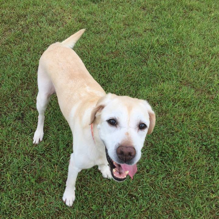 B2642a0a 3349 4c56 bda9 a2443e599ed4