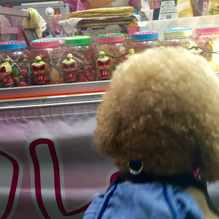 B26438d7 2cdc 4429 a49e dd1b4b385a27