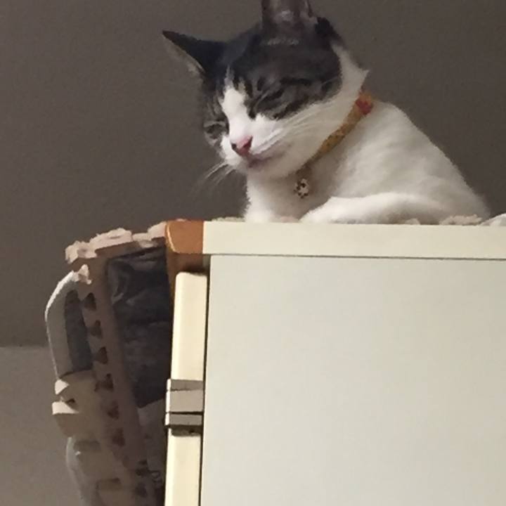 B2645803 6d34 4e86 9a06 b2ba2137df0a