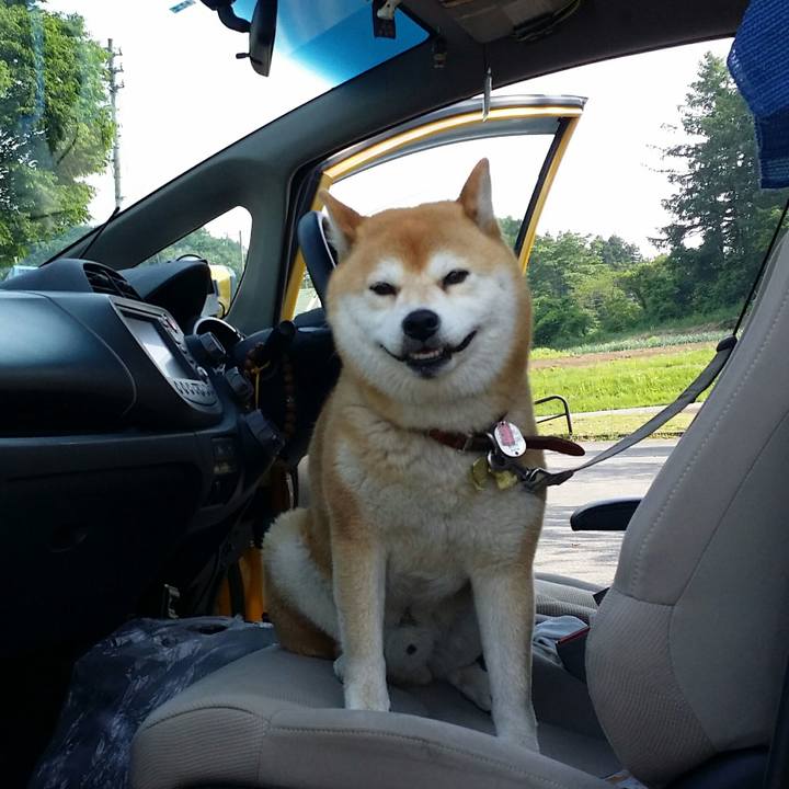 B264baa9 443f 4c9c b801 c8259e1d0642