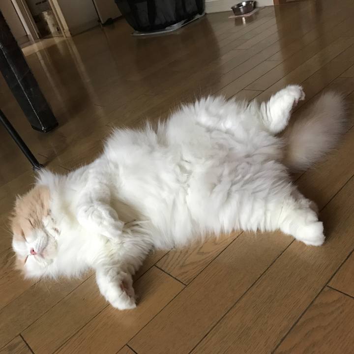 B264ee13 9626 4c6f b3db 16171bed908b