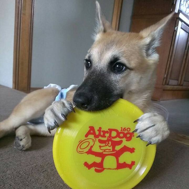 B2659cf7 0ebd 4baf 833e 550ad32a7bec