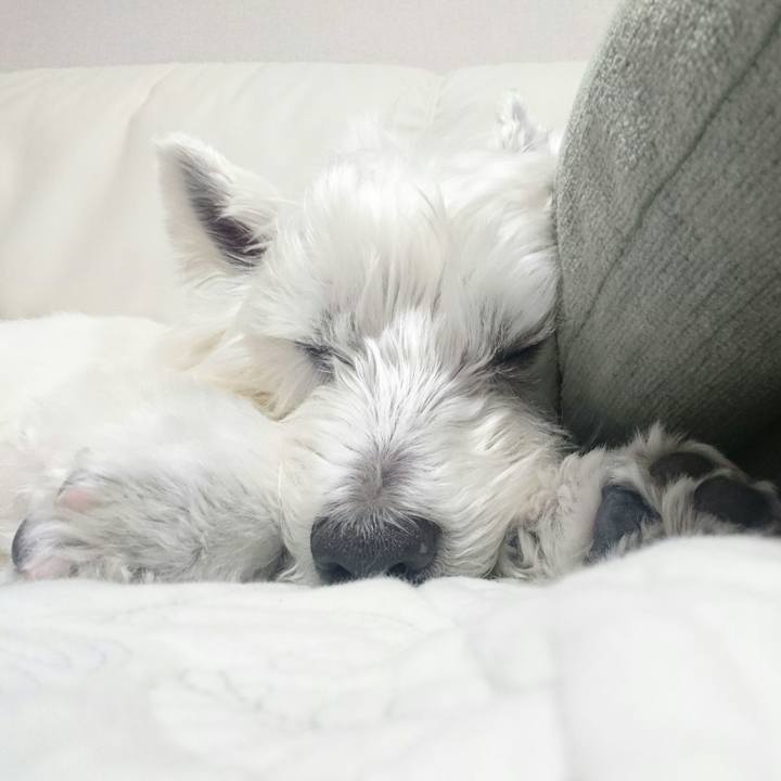 B2668656 3cc0 4316 bf11 bdd86cf25f40