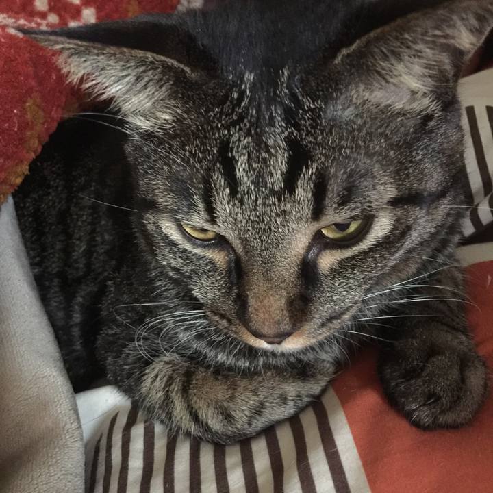 B266e9ed 8b30 4885 a01e 69bd9dd3576d