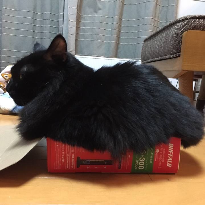 B26778be 05a4 47cc 9ca0 170e76530871