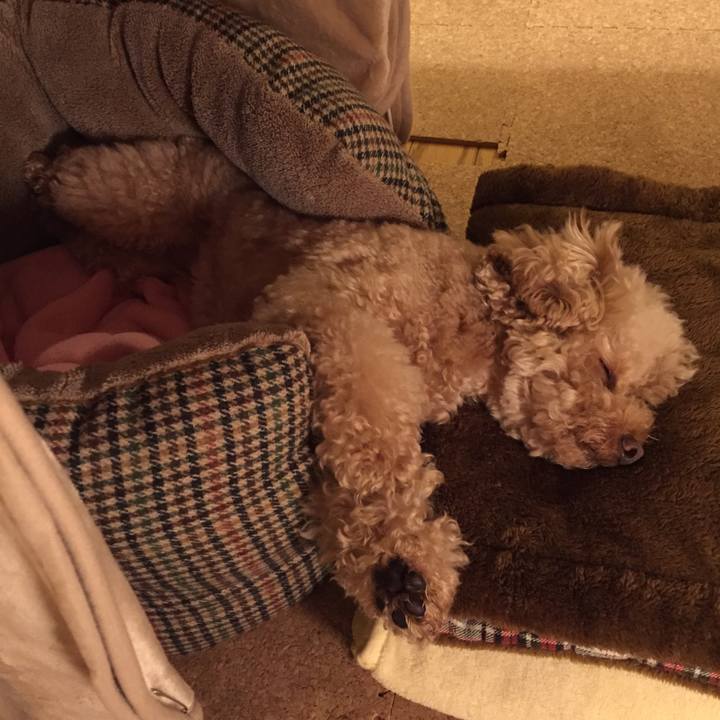 B267d1e7 9437 4f65 a829 2cdbbf691ad2