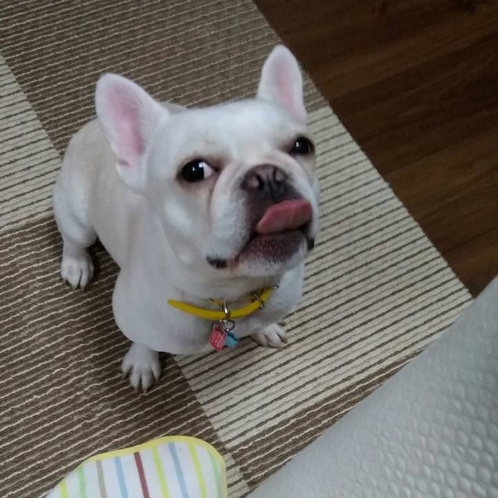 B267d568 72d7 4dc4 87f6 29387894175c