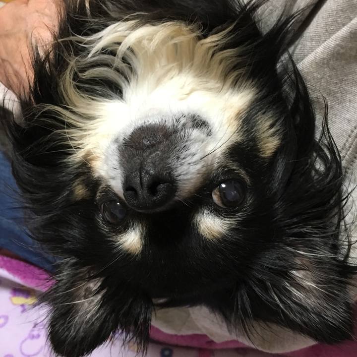 B267fc1e 3025 4c49 8bd7 b09e85a54127