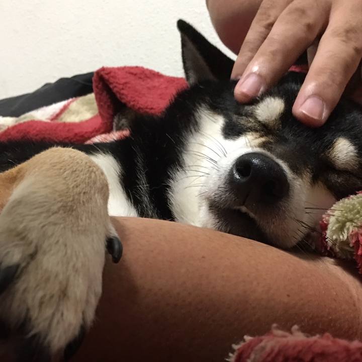 B268f0df e1b6 4b19 9d94 f56a83edd5dd