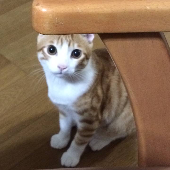 B2691abc 6c9f 4545 9eb5 0d8a39dc9ddb