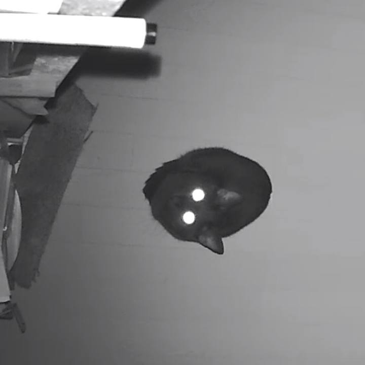 B2693be5 3d1f 4120 bcb8 b3c3f0553aa3