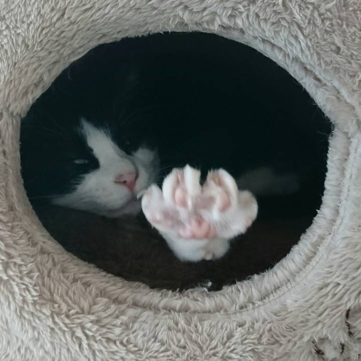 B269dc93 b5d9 4af3 9128 ebb349bb67df