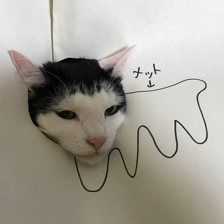 B269f200 ada9 462d a211 5dc20a13fae3