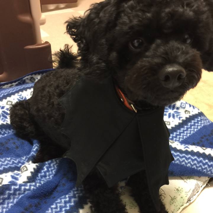 B26aa486 de01 4838 87e1 ab69686b7f14