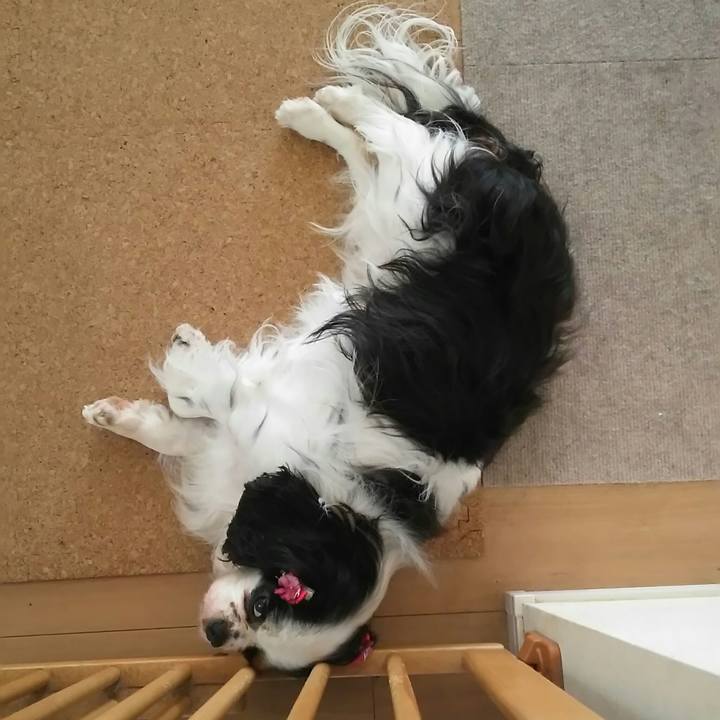 B26ab960 bc5c 4e26 85ab fd998ffccbe3