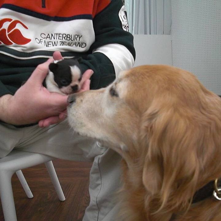 B26c0f30 5bab 48b9 8b19 5028ecf0c1ee