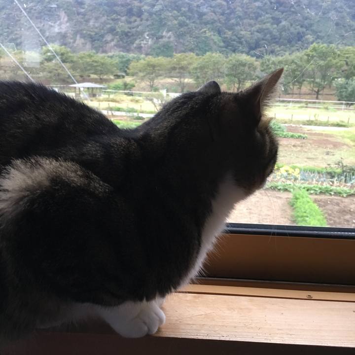 B26c470c aa51 45c4 9dfc f603f2490141