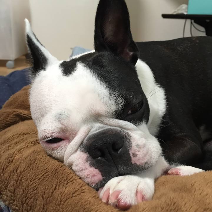 B26d4c62 c568 4361 822c c56587f3ede1