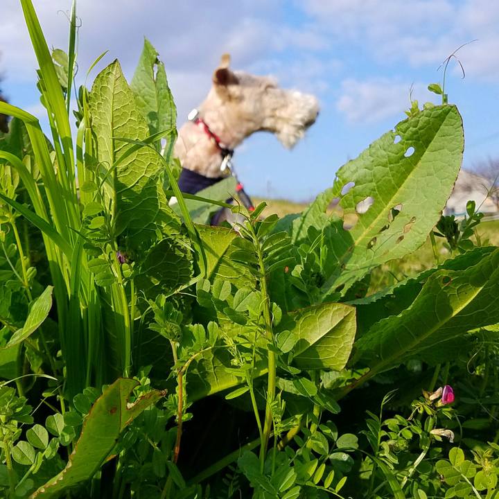 B26d6a7b db22 4840 975d d13317fb13a1