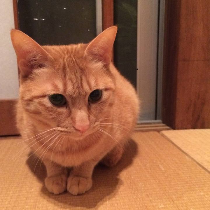 B26dc65c 3ecf 436d a6ea e523dd665ba2