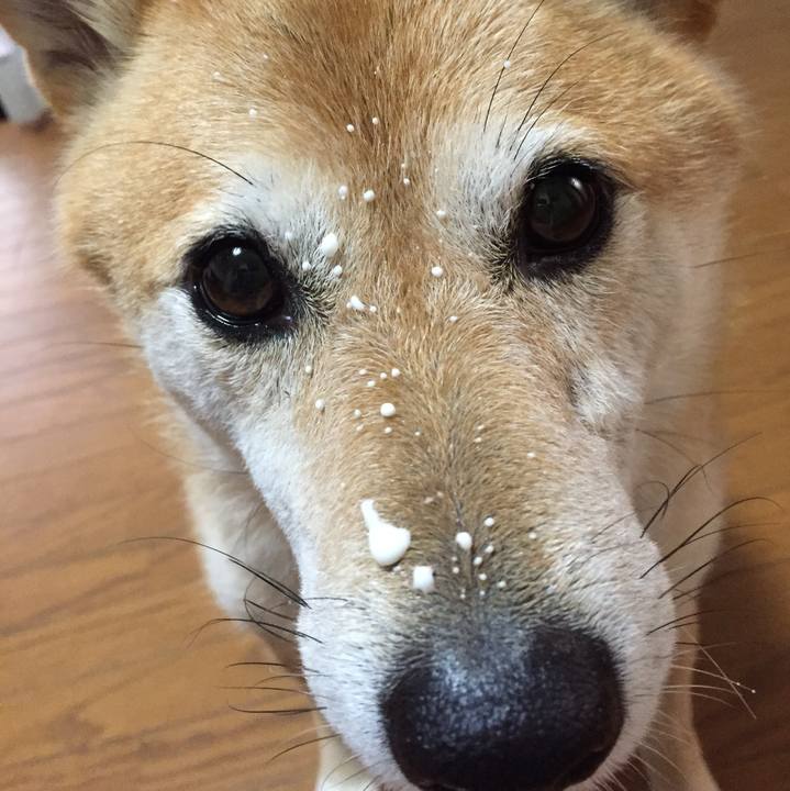 B26dd836 03e2 450e ae74 c85a655d460e