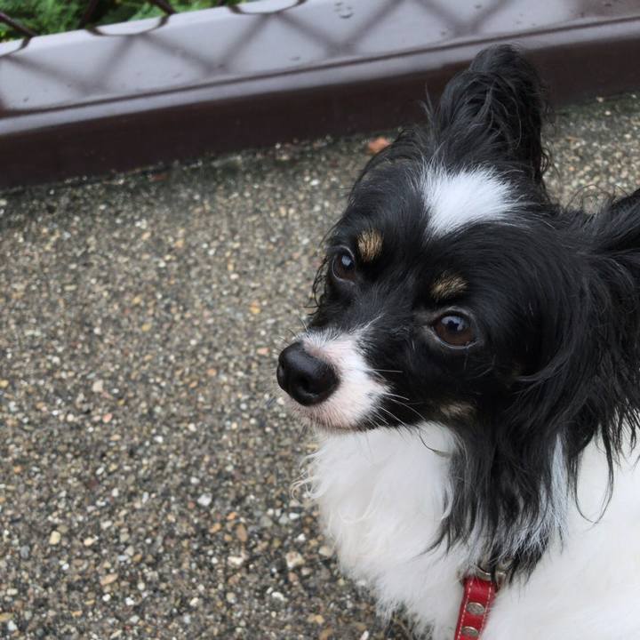 B26ee3e5 e831 475d a3d5 fbfa6a351d07