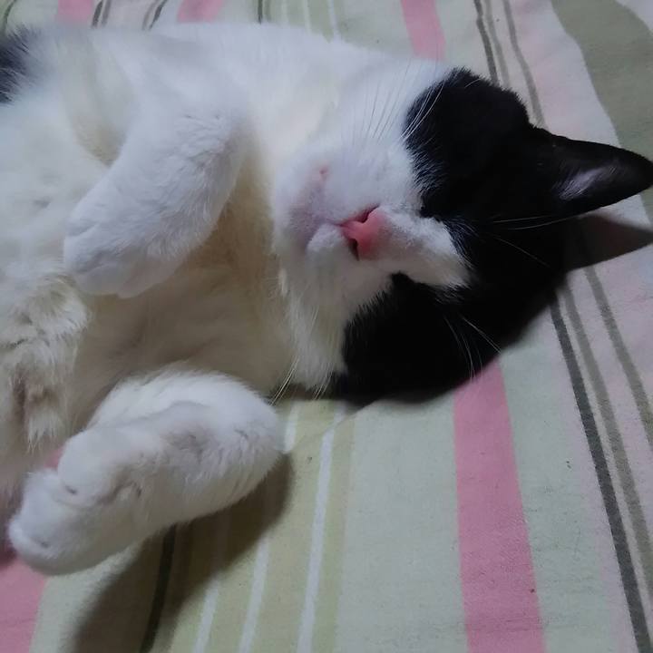 B26f63cb 00d3 4d80 a31d dd7575638c33