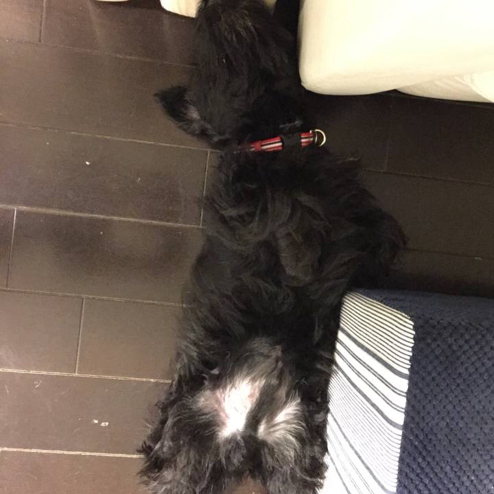 B26f84f5 4256 4b2f 9795 6a3fb6575e55