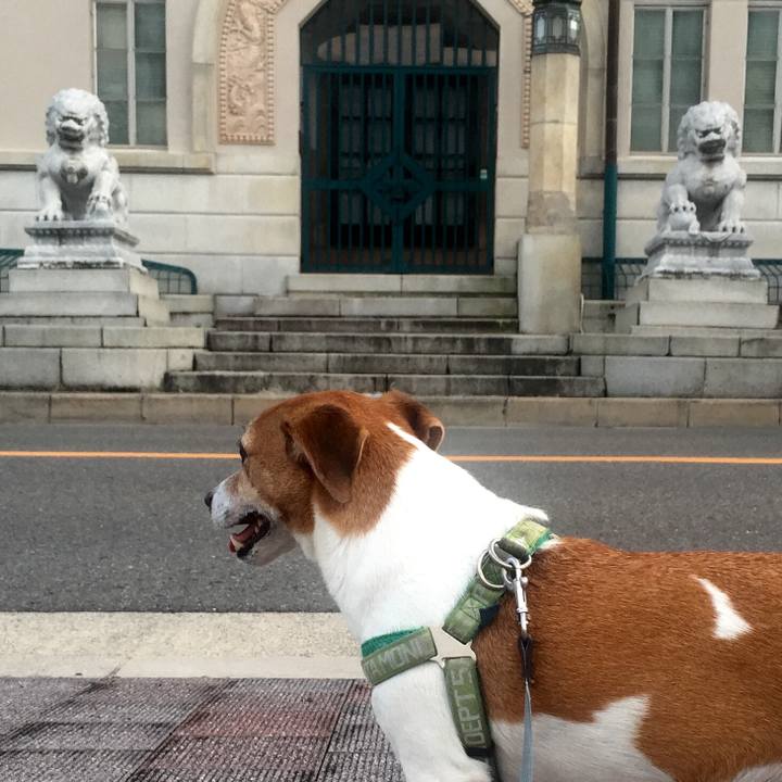 B26fa50f 44c2 4df3 b434 439d2eeee1f3