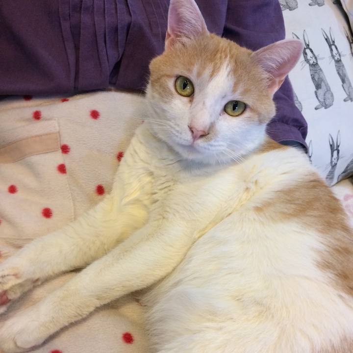 B26faffa 9539 4914 8f15 c66b2ca8fe97