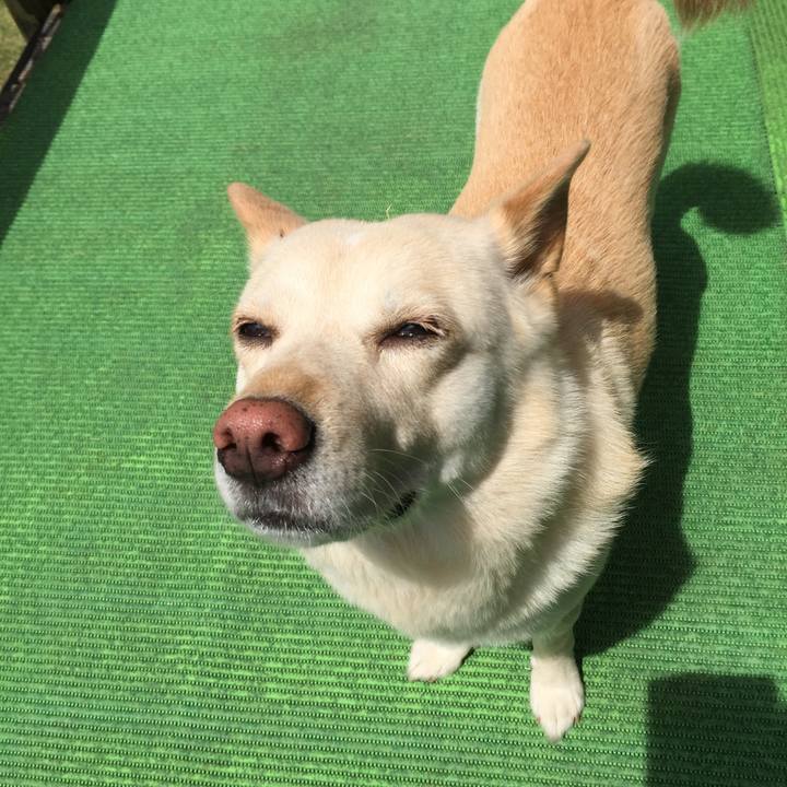 B270ba86 6cf8 4114 8c28 2bffce8afeb8