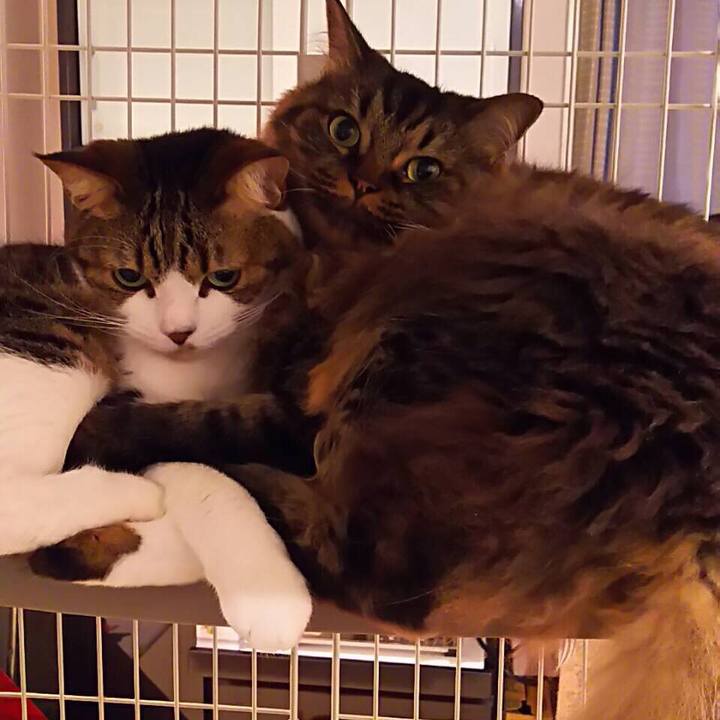 B271b880 694b 49f2 b66a 23e614af7fa0