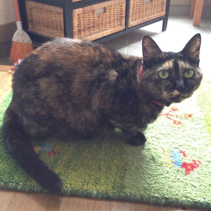 B271d1bd a220 4a12 8d17 fc8c82e6af76