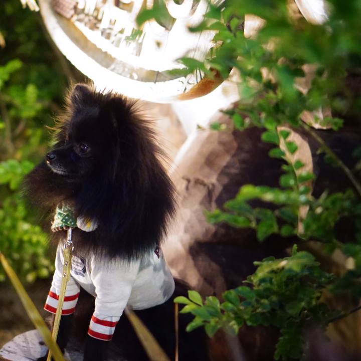 B271ecc6 21f7 4d36 85a5 7f829e6df95a