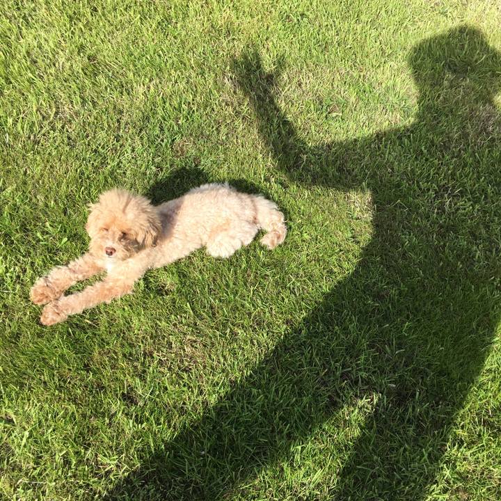 B271ed49 9c1f 47df b7a2 b68d3b3165c7