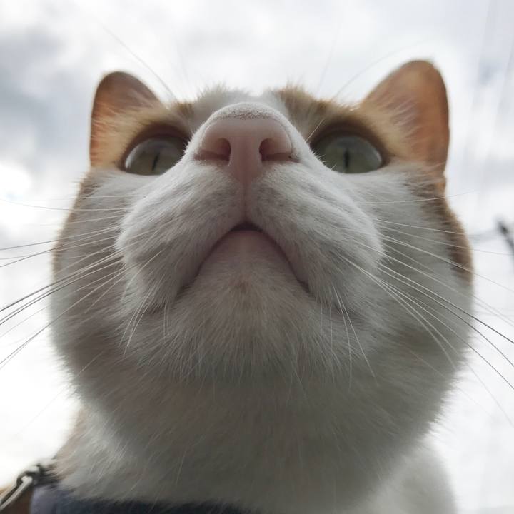 B271f810 cbd8 47ae bfc2 7fac076336e4