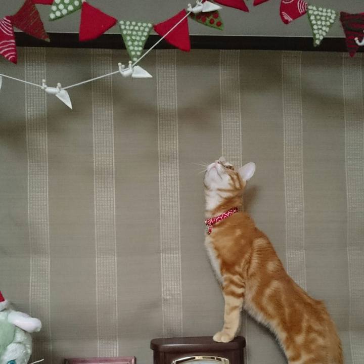 B2723e6a d760 4cf0 ad49 d9594b683ceb