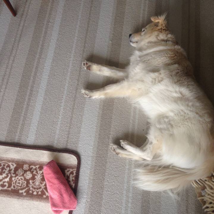 B2730cba 582f 4155 b3a9 6c1c891c37ab