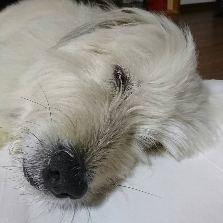 B2741acc a544 43dc b321 2337cb78e905