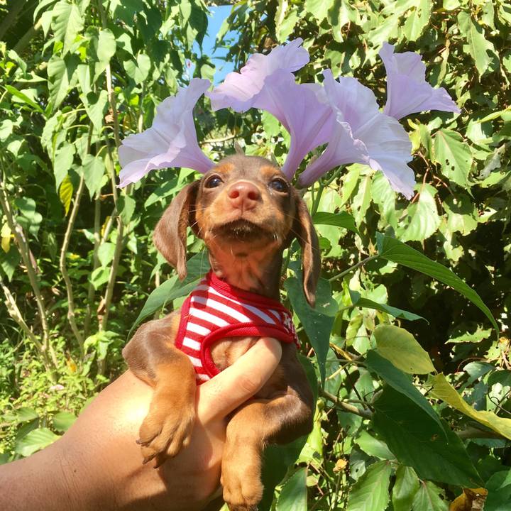 B27550c6 37f8 4f60 ac4f 0591e122af29